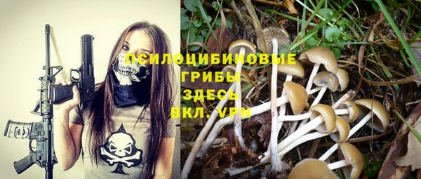 герыч Липки