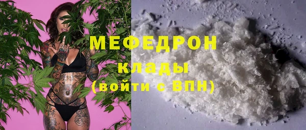 молекула духа Вяземский