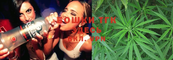 молекула духа Вяземский