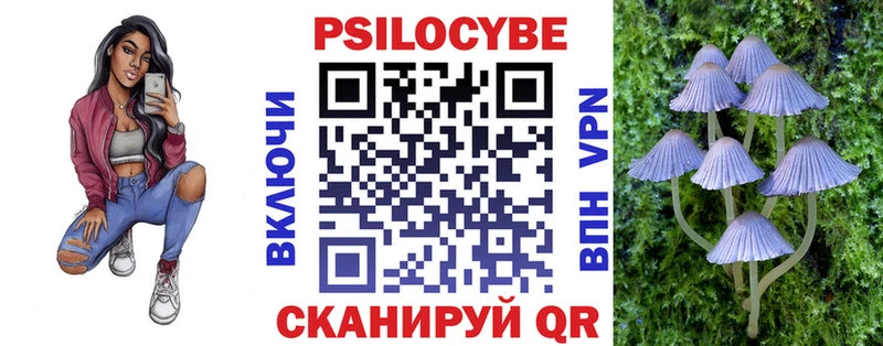 Псилоцибиновые грибы Psilocybe  МЕГА ТОР  Моршанск 