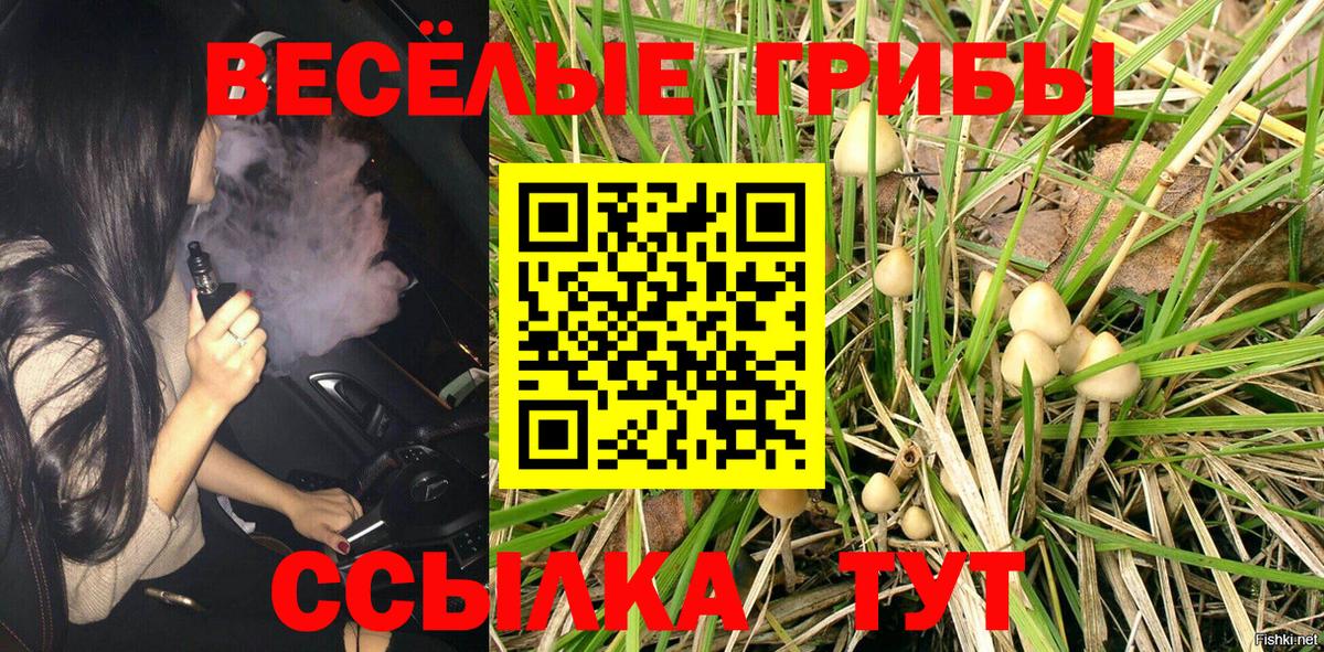 Псилоцибиновые грибы MAGIC MUSHROOMS Моршанск