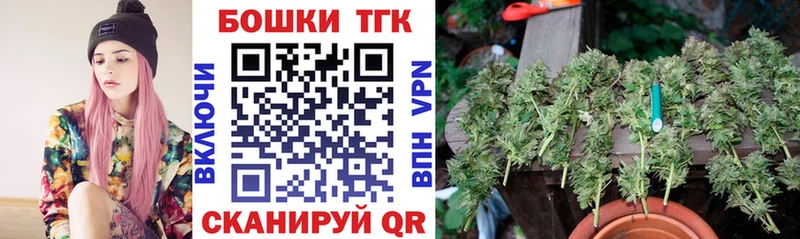 Бошки Шишки план  Моршанск 